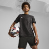 Puma Team Cup Jersey
