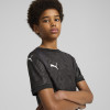 Puma Team Cup Jersey