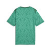 Puma Team Cup Jersey