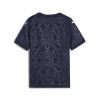 Puma Team Cup Jersey