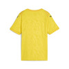 Puma Team Cup Jersey
