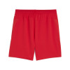 Puma Team Cup Shorts