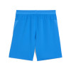 Puma Team Cup Shorts