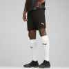 Puma Team Cup Shorts