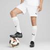 Puma Team Cup Shorts