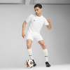 Puma Team Cup Shorts