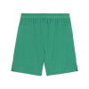 Puma Team Cup Shorts