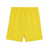 Puma Team Cup Shorts