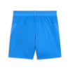 Puma Team Cup Shorts
