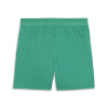 Puma Team Cup Shorts