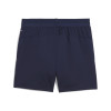 Puma Team Cup Shorts