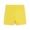 Puma Team Cup Shorts