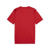 Puma Team Ultimate Jersey