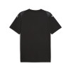 Puma Team Ultimate Jersey