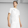 Puma Team Ultimate Jersey