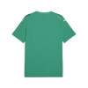 Puma Team Ultimate Jersey