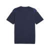 Puma Team Ultimate Jersey
