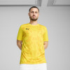 Puma Team Ultimate Jersey