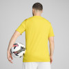 Puma Team Ultimate Jersey
