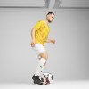 Puma Team Ultimate Jersey