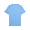 Puma Team Ultimate Jersey