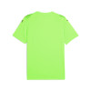 Puma Team Ultimate Jersey