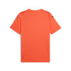 Puma Team Ultimate Jersey