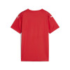 Puma Team Ultimate Jersey