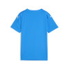 Puma Team Ultimate Jersey