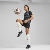 Puma Team Ultimate Jersey