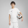 Puma Team Ultimate Jersey