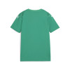 Puma Team Ultimate Jersey