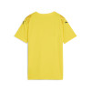 Puma Team Ultimate Jersey