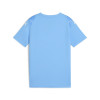 Puma Team Ultimate Jersey
