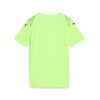 Puma Team Ultimate Jersey