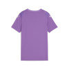 Puma Team Ultimate Jersey