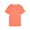 Puma Team Ultimate Jersey