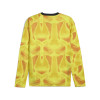 Puma Team Target GK Jersey (Long Sleeve)