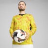 Puma Team Target GK Jersey (Long Sleeve)