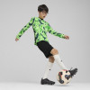 Puma Team Target GK Jersey (Long Sleeve)