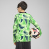 Puma Team Target GK Jersey (Long Sleeve)