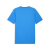 Puma Team Final 26 Graphic Jersey