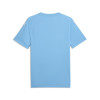 Puma Team Final 26 Graphic Jersey