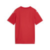 Puma Team Final 26 Graphic Jersey
