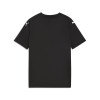 Puma Team Final 26 Graphic Jersey