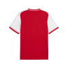 Puma Team Liga 26 Matchday Jersey