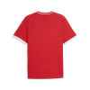 Puma Team Liga 26 Striped Jersey