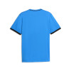 Puma Team Liga 26 Striped Jersey