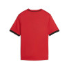 Puma Team Liga 26 Striped Jersey