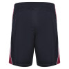 3Q Igen Short